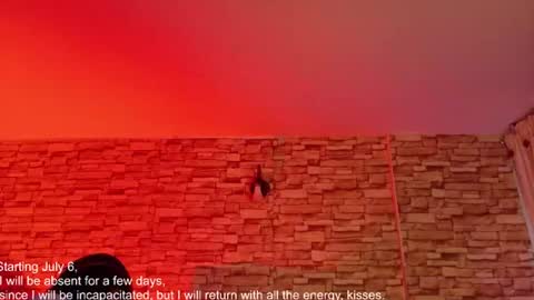 Snapshot of jade_white_ chatting on 17, 6, 2026 jade white online show from 17, 6, 2026