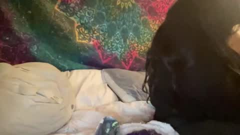 Snapshot of jadexbabe chatting on 27, 1, 2025 Jadexbabe online show from 27, 1, 2025