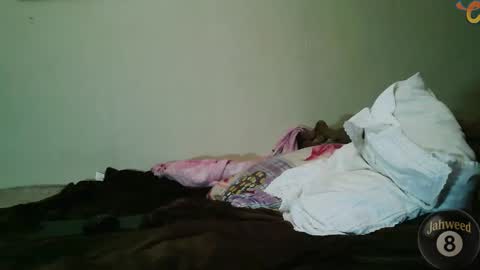 Jahweed online show from 8, 2, 2026