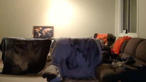 jameswolf777 online show from 22, 12, 2025