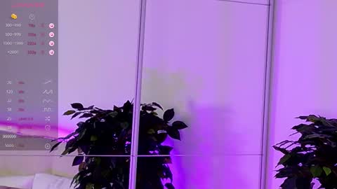 your kitty JANE roawww online show from 14, 12, 2025