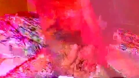 jardinflowers online show from 6, 11, 2025