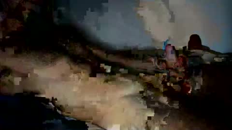 jardinflowers online show from 28, 11, 2025