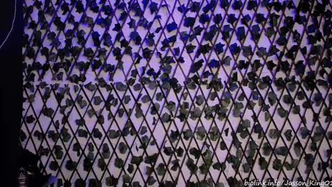 JKing  online show from 11, 9, 2025