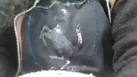 jasspreettt online show from 2, 2, 2025