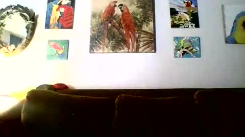 jay-jay1475 online show from 18, 2, 2026