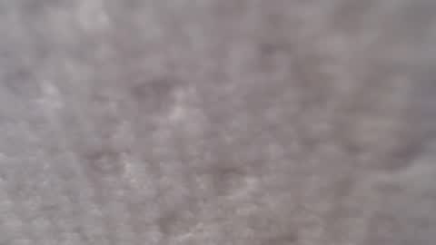 Old Guy Next Door online show from 11, 2, 2025