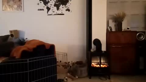 Snapshot of jaycat73 chatting on 31, 1, 2025 jaycat73 online show from 31, 1, 2025