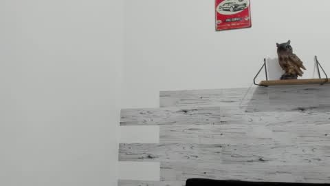 Jaycreedd online show from 16, 9, 2025