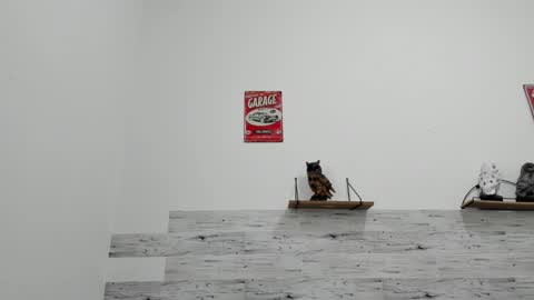 Jaycreedd online show from 30, 11, 2025