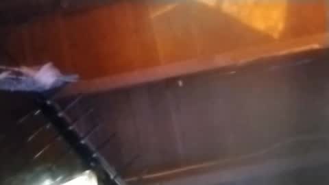 Meetmyfreak online show from 14, 2, 2025