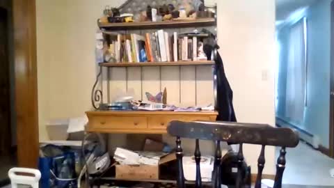 Snapshot of jaythenorth chatting on 11, 2, 2026 jaythenorth online show from 11, 2, 2026