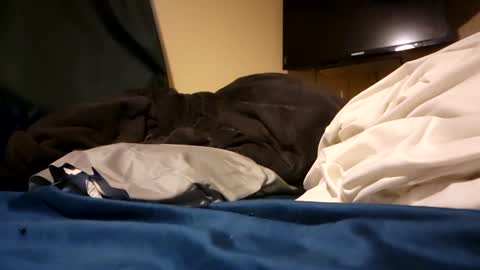 jd19852 online show from 27, 12, 2024