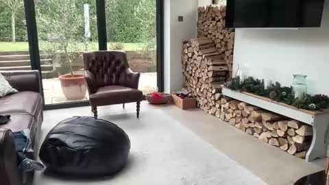 Snapshot of jeeves200 chatting on 1, 12, 2025 Sensual Jeeves online show from 1, 12, 2025