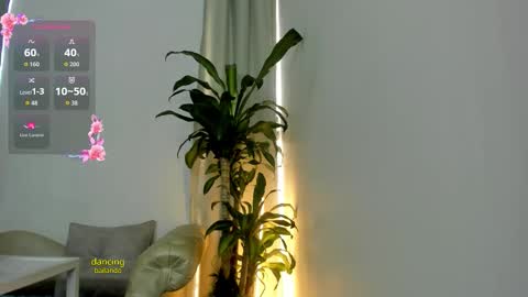 Tokio online show from 21, 3, 2026