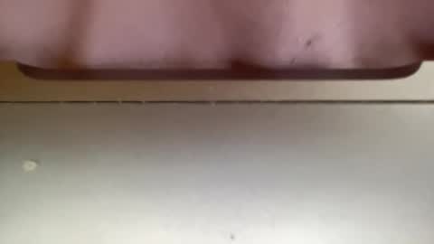 jerking1981 online show from 25, 12, 2024