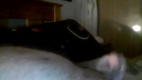 jerkmate6666 online show from 21, 12, 2024