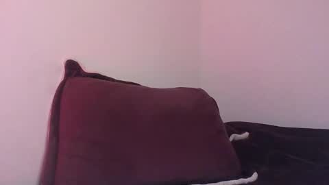 Snapshot of jessepickman chatting on 29, 12, 2024 Angel  Demon online show from 29, 12, 2024