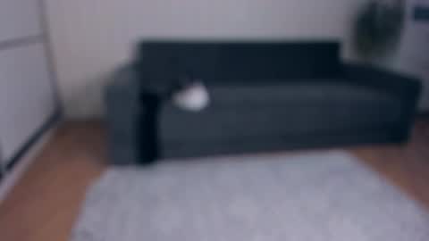 NEW VIDEO IN BIO online show from 25, 11, 2025