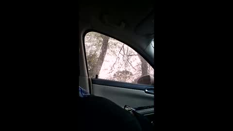 jgthagr8 online show from 4, 3, 2026