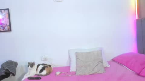 jhackelin  My independent account online show from 19, 4, 2026