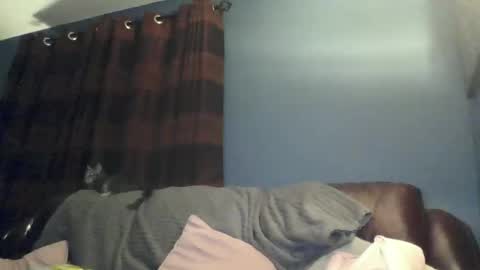 jilfyj online show from 15, 3, 2026