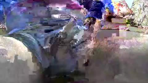 jimii281 online show from 12, 1, 2026