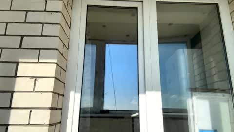 Jinny online show from 15, 9, 2025