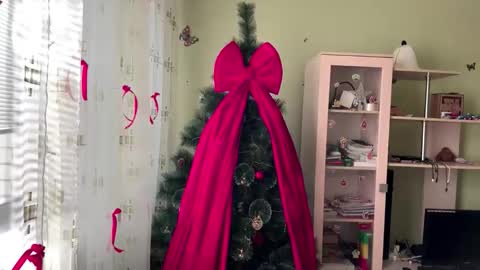 Jinny online show from 14, 12, 2025