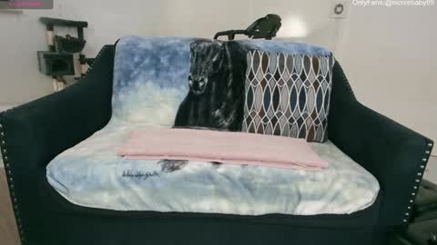 Nicole  Allen online show from 1, 1, 2025