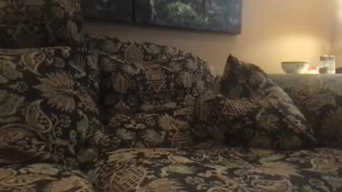 Snapshot of jlk7777 chatting on 4, 12, 2024 jlk7777 online show from 4, 12, 2024