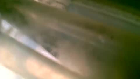 jlz2695 online show from 6, 3, 2026