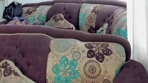 JOAN SAENZ online show from 17, 1, 2026