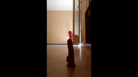 jobi88 online show from 5, 4, 2026