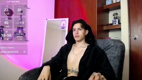 Snapshot of johan_parker222 chatting on 6, 3, 2025 johan_parker222 online show from 6, 3, 2025