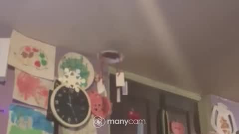 johnnyshung1 online show from 16, 12, 2024