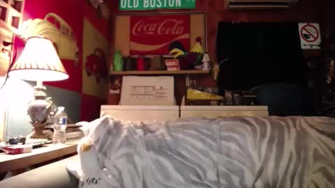 Snapshot of johstondude chatting on 25, 5, 2026 Johston online show from 25, 5, 2026