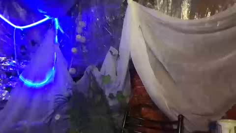 Jony Marta GMT 2000-0100 every day online show from 16, 10, 2025