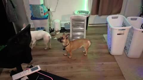 Josef online show from 17, 4, 2026