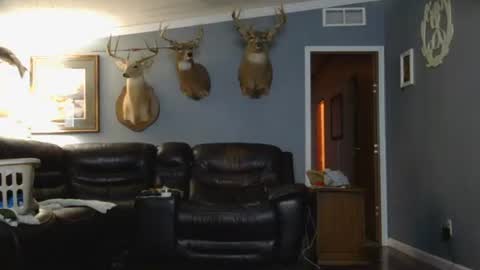 Snapshot of joshua122933 chatting on 26, 3, 2026 Josh online show from 26, 3, 2026