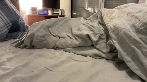 jpr07 online show from 10, 11, 2025