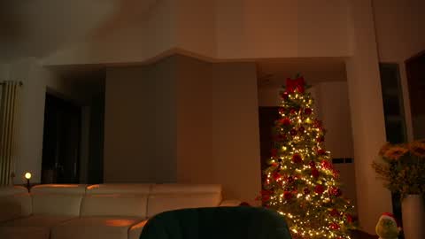 Jennifer Diaz online show from 13, 12, 2024