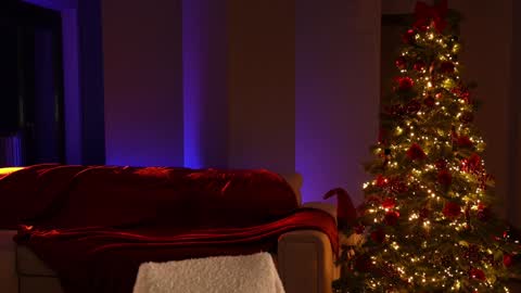 Jennifer Diaz online show from 21, 12, 2024