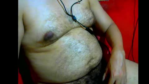 jshepeherdd online show from 19, 4, 2026