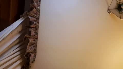 juanka85564456 online show from 28, 2, 2025