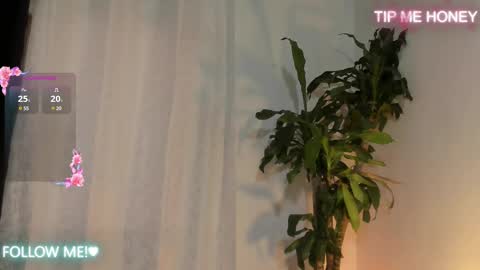 Juan Miguel online show from 14, 2, 2025