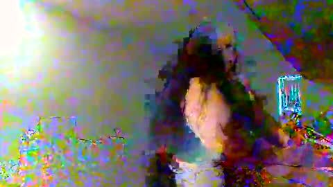 juicylatinabbw online show from 20, 2, 2026