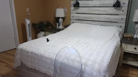 Texas Mamasita online show from 5, 3, 2026