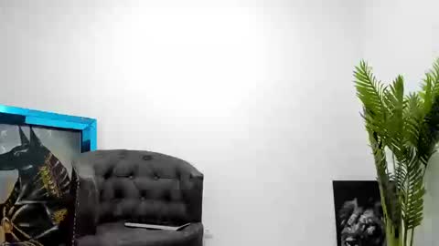 Junior online show from 17, 1, 2026