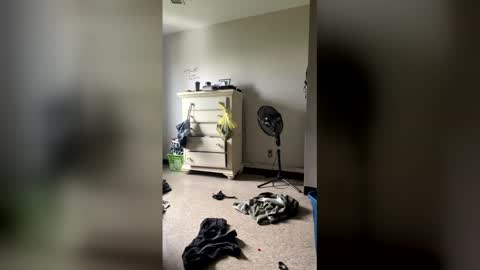 junosphboi online show from 3, 4, 2026